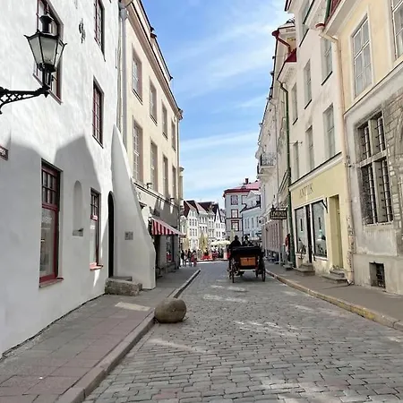 Διαμέρισμα Unique In Vanalinn, Old Town